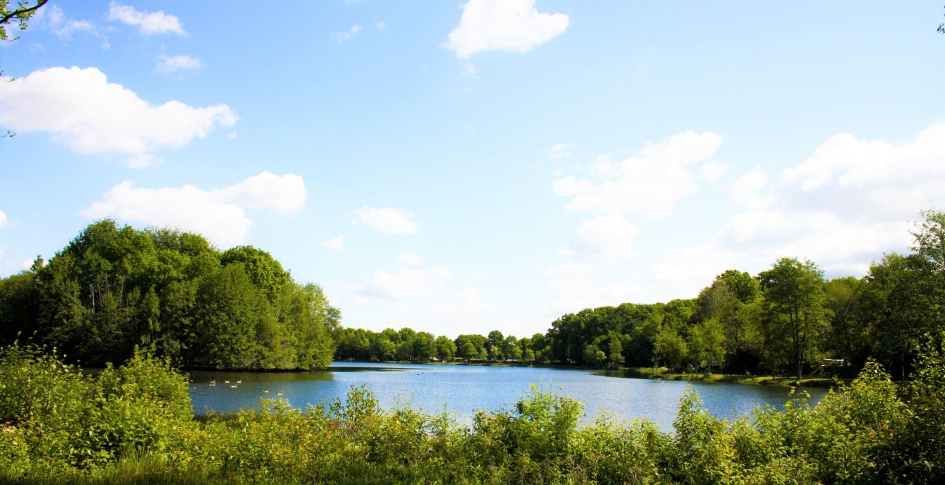 Thuine & Freren Der TöddenlandRadweg